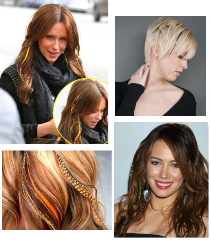 Feather Hair Extensions - Would You Wear Them? - Empire Beauty School